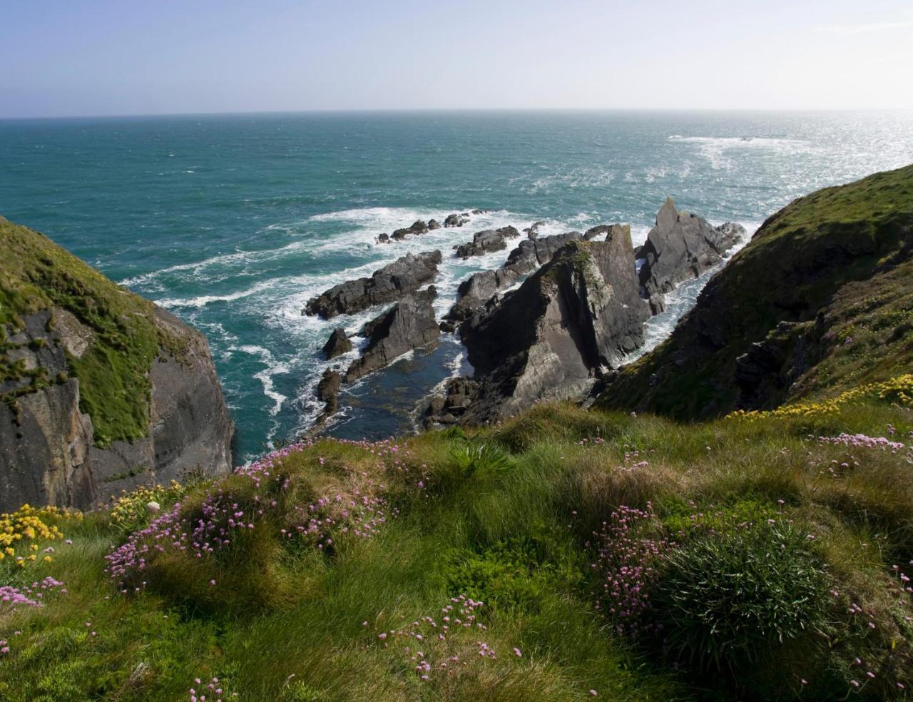 Galley Head Lightkeeper'S Houses Donoure Экстерьер фото